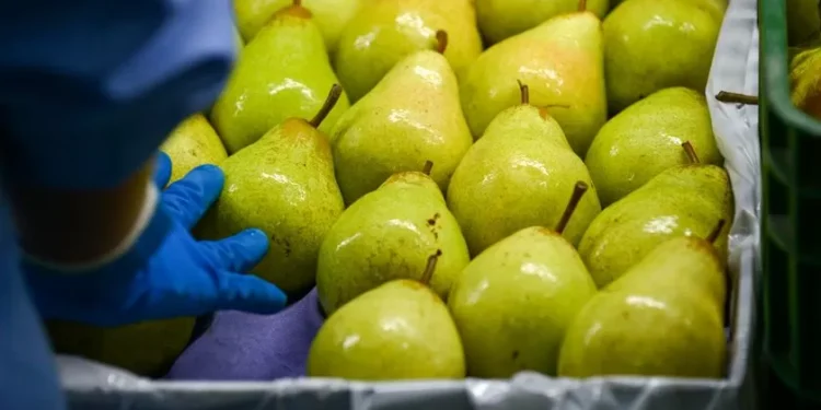 Portugal chega a acordo com a China para a exportação de peras