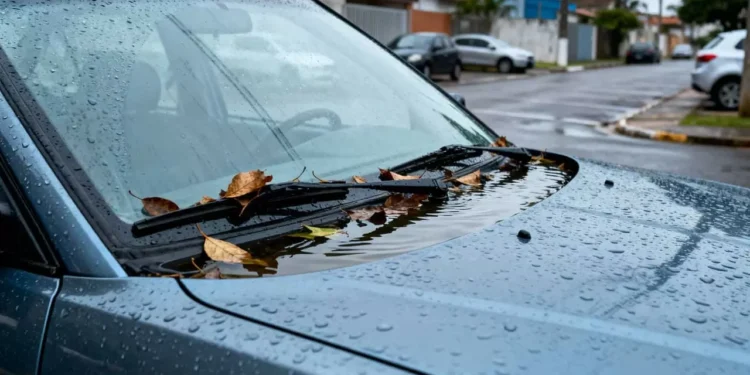 O parafuso secreto que você remove pra nunca mais ter que gastar pra lavar o motor do carro