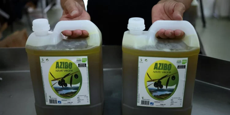 Litro de azeite ficou 2,91 euros mais barato no último ano