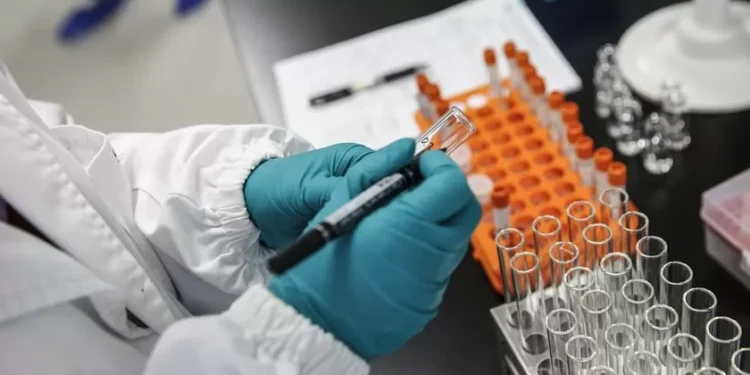 Cientistas identificam em Portugal bactéria que reduz inflamação intestinal e trava infeção