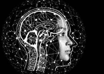 Técnica utilizada para estudar o universo permite “ouvir” estrutura do cérebro