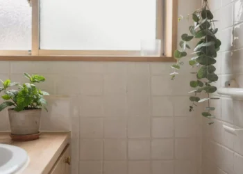 Não é mito: hábito japonês transforma ambientes e oferece relaxamento