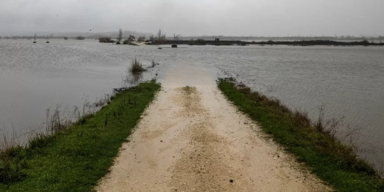 Ministro anuncia linha de apoio de 40 milhões para agricultores