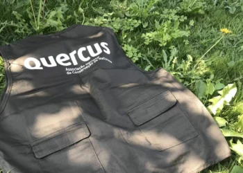 Associação Quercus pede lei que proíba toalhetes húmidos não biodegradáveis