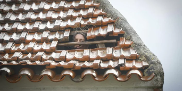 Gulbenkian cria fundo de apoio às populações afetadas pelo mau tempo